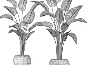 exotic plants banana tree set 456 Modelo 3D