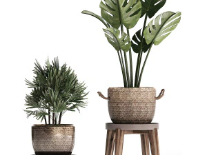 exotic plants set 457 3D Model