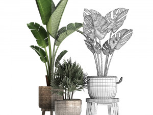 exotic plants set 457 Model 3D