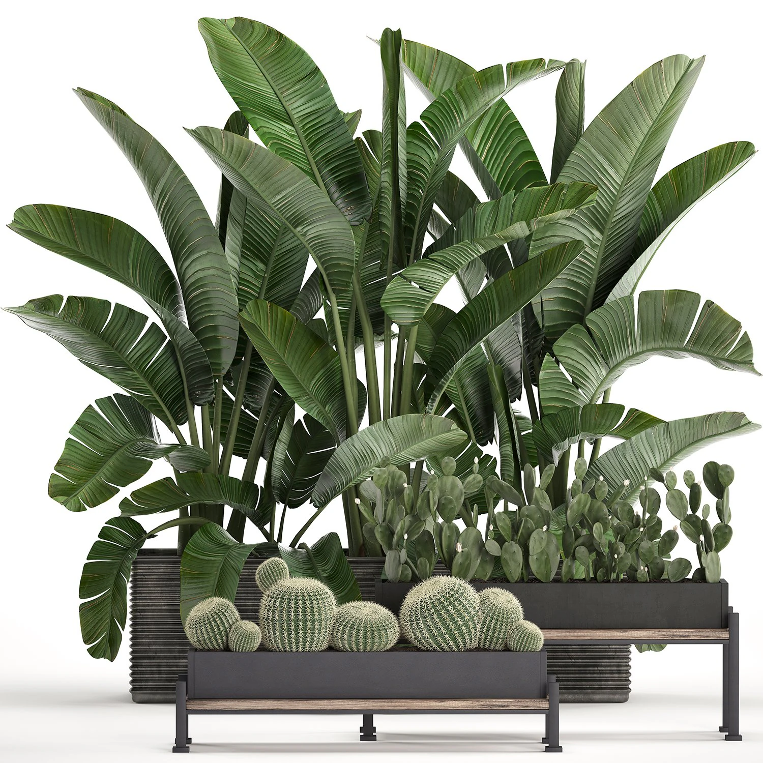 decorative plants in flower pots for the interior 458 3D Model .c4d .max .obj .3ds .fbx .stl .blend 