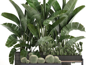 decorative plants in flower pots for the interior 458 Model 3D