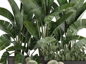 decorative plants in flower pots for the interior 458 3D Модель