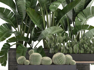 decorative plants in flower pots for the interior 458 3D Model