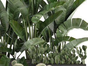 decorative plants in flower pots for the interior 458 3D Модель