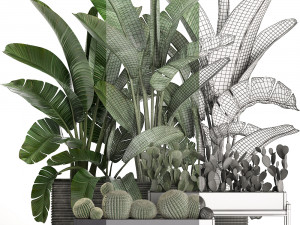 decorative plants in flower pots for the interior 458 3D Модель