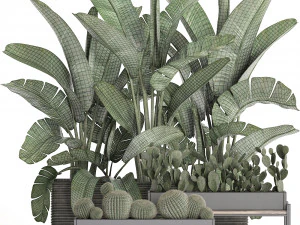 decorative plants in flower pots for the interior 458 3D Model