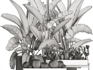 decorative plants in flower pots for the interior 458 3D Модель
