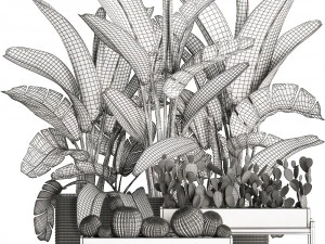 decorative plants in flower pots for the interior 458 3D Model