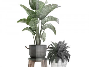 decorative plants in flower pots for the interior 459 3D Model