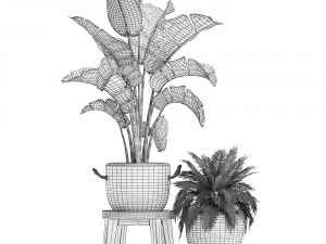 decorative plants in flower pots for the interior 459 3D Model
