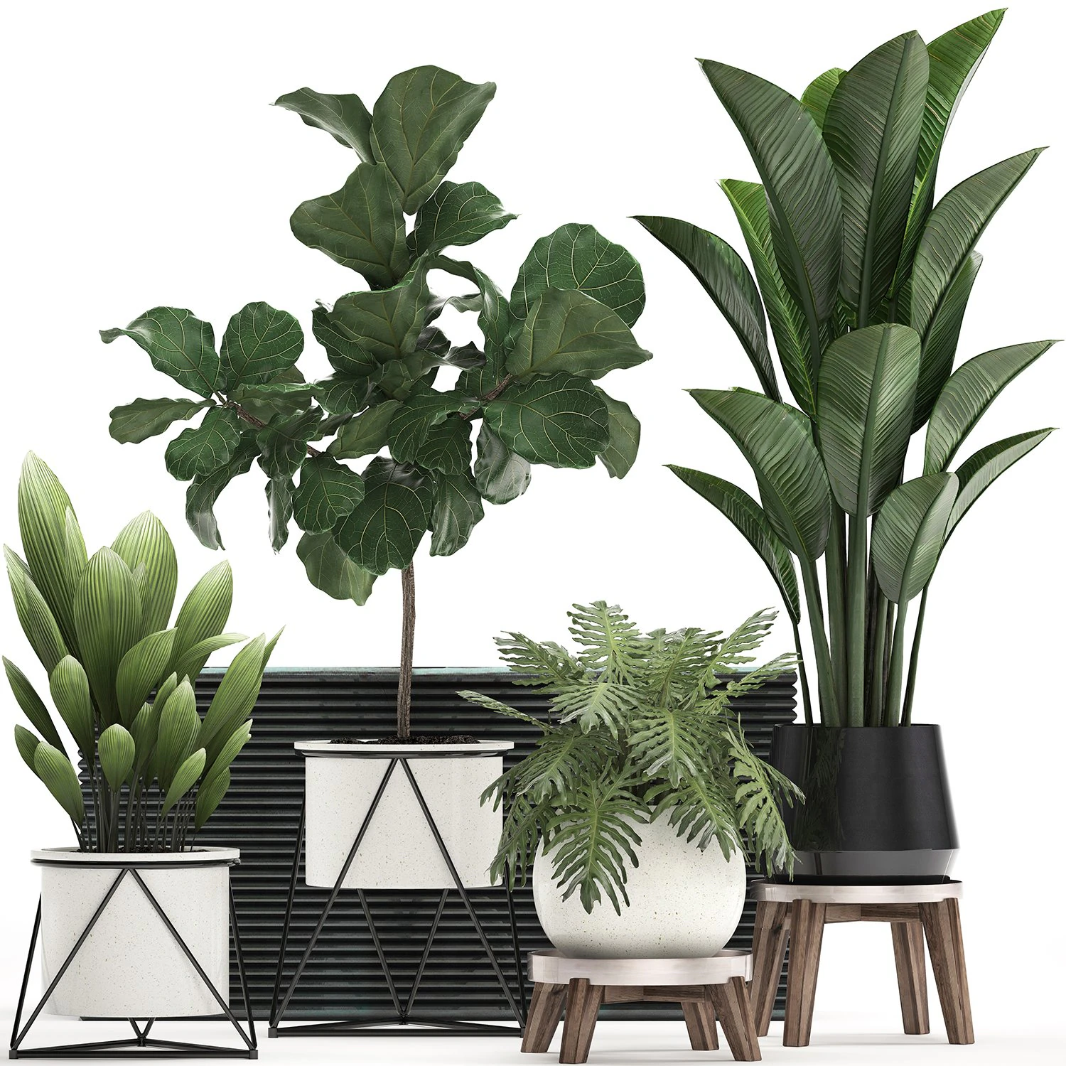 decorative plants in flower pots for the interior 460 3D Model .c4d .max .obj .3ds .fbx .stl .blend 