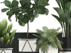decorative plants in flower pots for the interior 460 3D Model