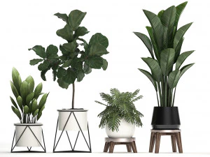 decorative plants in flower pots for the interior 460 3D Model