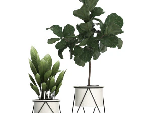 decorative plants in flower pots for the interior 460 3D Model