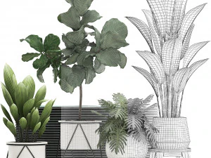 decorative plants in flower pots for the interior 460 3D Model