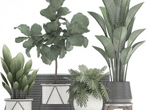 decorative plants in flower pots for the interior 460 Modello 3D