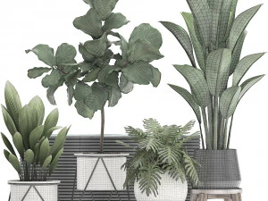 decorative plants in flower pots for the interior 460 3D Model