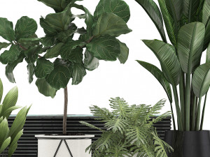 decorative plants in flower pots for the interior 460 Modello 3D