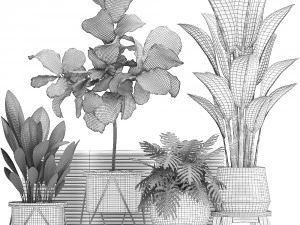 decorative plants in flower pots for the interior 460 3D Model