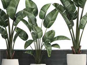 decorative plants in flower pots for the interior 461 Model 3D