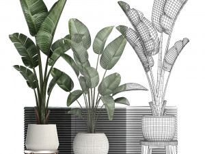 decorative plants in flower pots for the interior 461 Model 3D