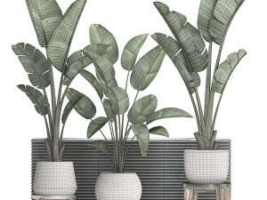 decorative plants in flower pots for the interior 461 Model 3D