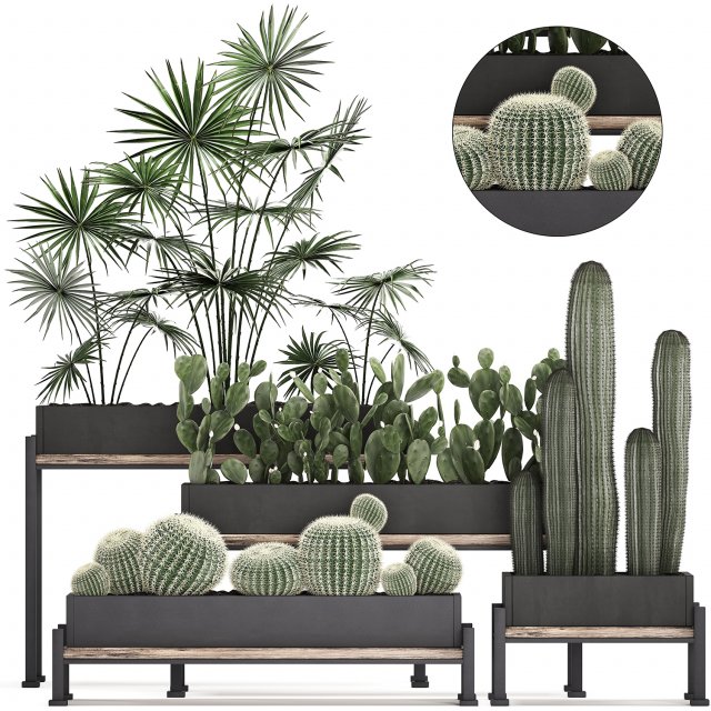 decorative plants in flower pots for the interior 462 3D Модель .c4d .max .obj .3ds .fbx .stl .blend 