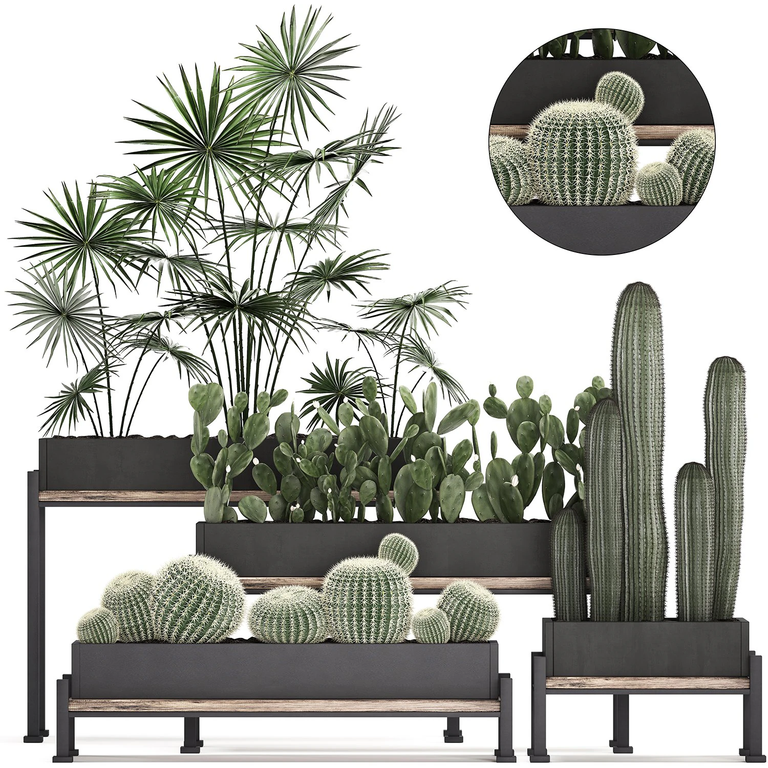 decorative plants in flower pots for the interior 462 3D Model .c4d .max .obj .3ds .fbx .stl .blend