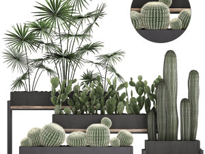 decorative plants in flower pots for the interior 462 3D Model