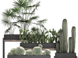 decorative plants in flower pots for the interior 462 3D Модель