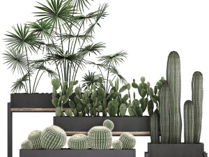 decorative plants in flower pots for the interior 462 3D Model