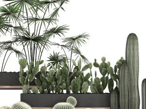 decorative plants in flower pots for the interior 462 3D Model