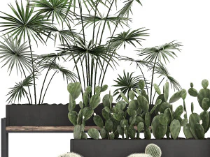 decorative plants in flower pots for the interior 462 3D Model