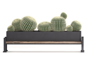 decorative plants in flower pots for the interior 462 3D Модель