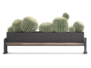 decorative plants in flower pots for the interior 462 3D Model