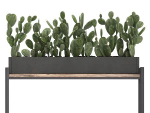 decorative plants in flower pots for the interior 462 3D Model