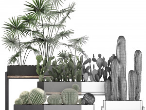 decorative plants in flower pots for the interior 462 3D Модель
