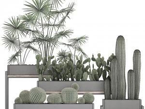 decorative plants in flower pots for the interior 462 3D Model