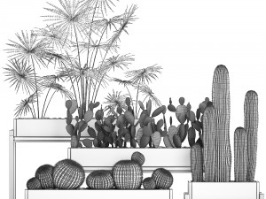 decorative plants in flower pots for the interior 462 3D Модель