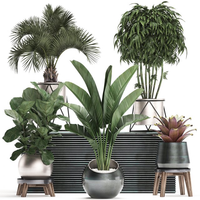 decorative plants in flower pots for the interior 463 3D Model .c4d .max .obj .3ds .fbx .stl .blend 