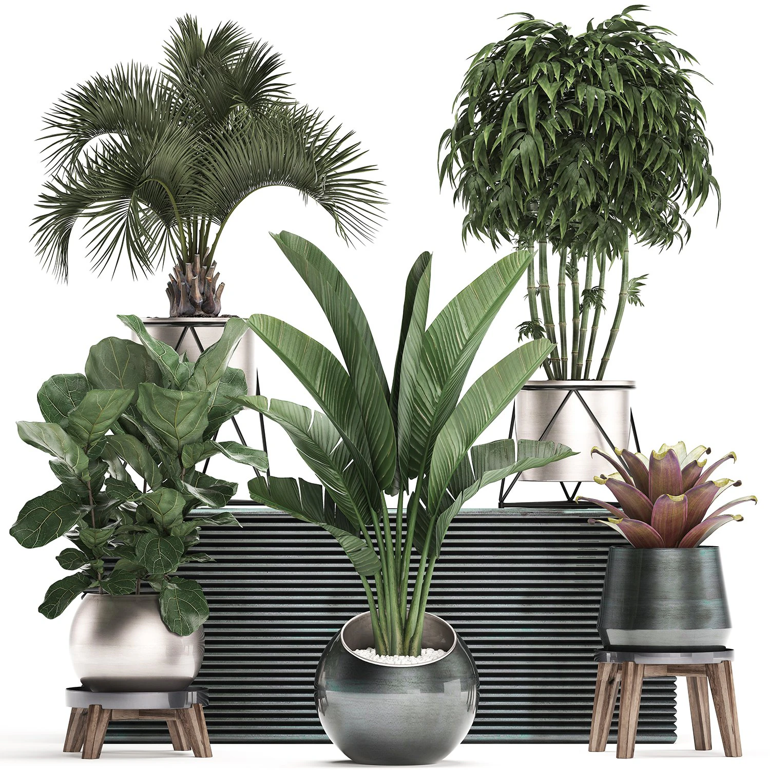decorative plants in flower pots for the interior 463 3D Model .c4d .max .obj .3ds .fbx .stl .blend 