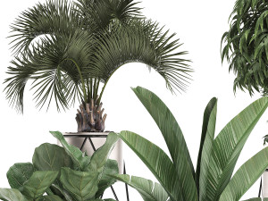 decorative plants in flower pots for the interior 463 3D Model
