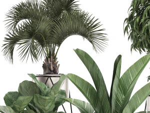decorative plants in flower pots for the interior 463 3D Model