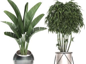 decorative plants in flower pots for the interior 463 3D Model