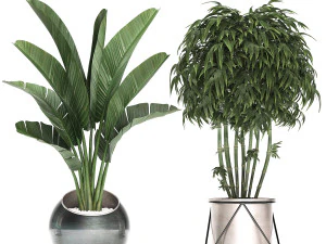 decorative plants in flower pots for the interior 463 3D Model