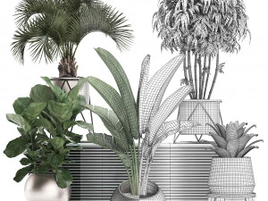 decorative plants in flower pots for the interior 463 3D Model