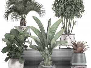 decorative plants in flower pots for the interior 463 3D Model