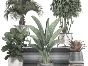 decorative plants in flower pots for the interior 463 3D Model