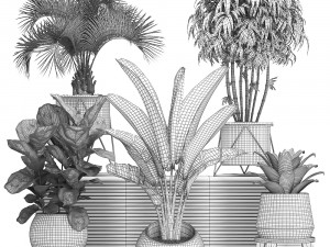 decorative plants in flower pots for the interior 463 3D Model