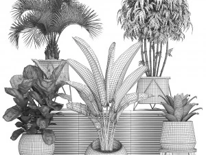 decorative plants in flower pots for the interior 463 3D Model